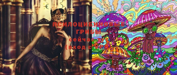 прущие крисы Коряжма