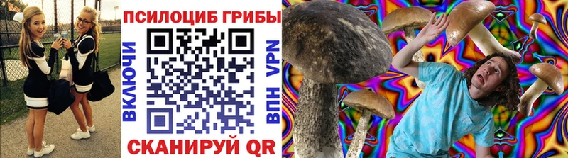 Купить где  Сургут  Псилоцибиновые грибы Magic Shrooms 